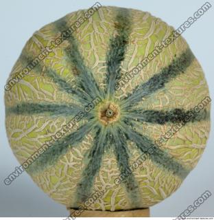 Melon Galia 0013